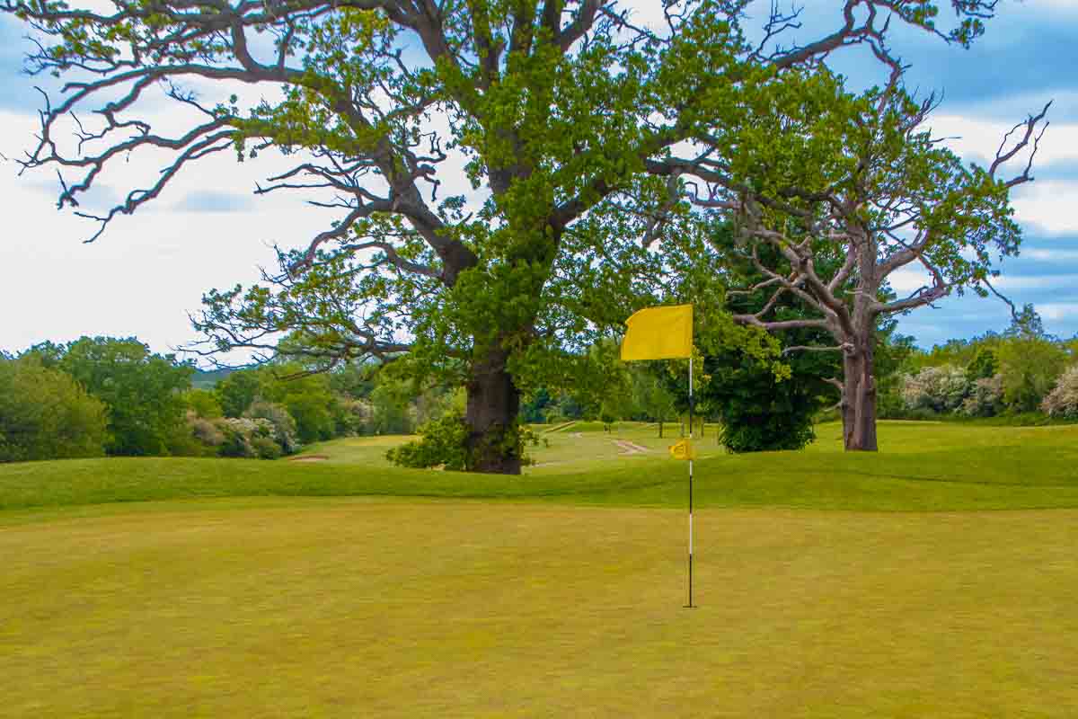 Surrey National Golf Club Chaldon 216